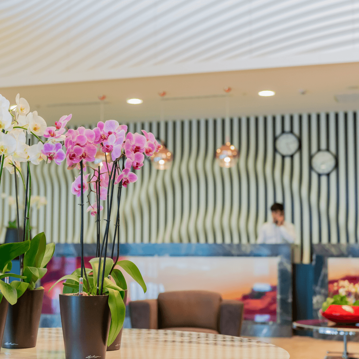 Corporate and Hospitality Procurers